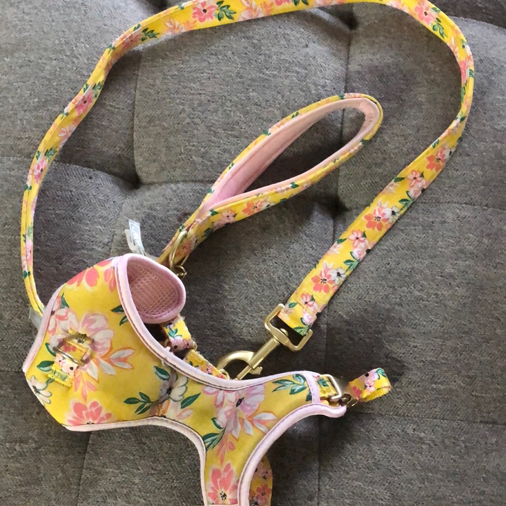 Harness & leash set